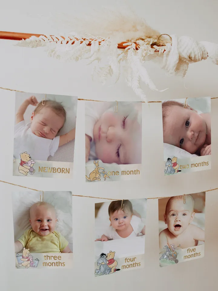 Editable Photo Banner one year garland Winnie the Pooh First Birthday Photo Banner Garland; Hundred Acre Wood Party; Instant Download; wpg15