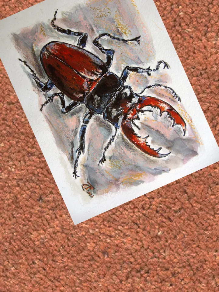 Watercolor paintings of Beatles. Set of 4 pcs. 21x15 cm (8.3х5,9 inches)