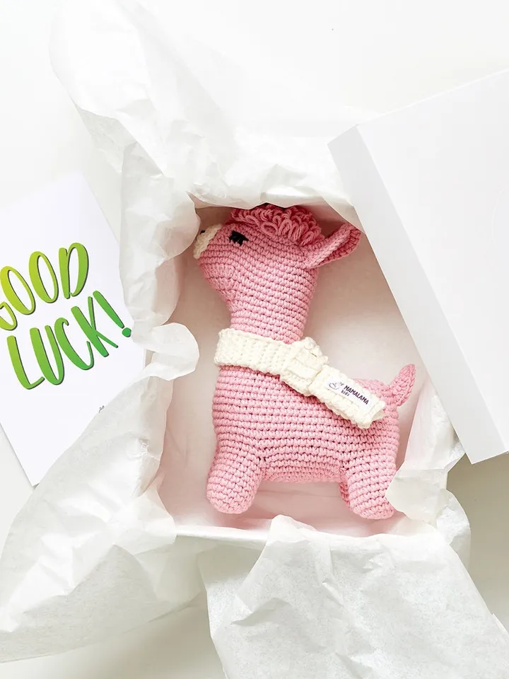 Good luck gift Farm help pregnancy Fertility set box Exams Mentor gifts Colleague Congratulations Corporate souvenir Living away Moving card