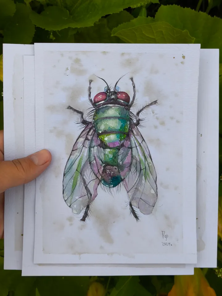 Watercolor. Green Fly.