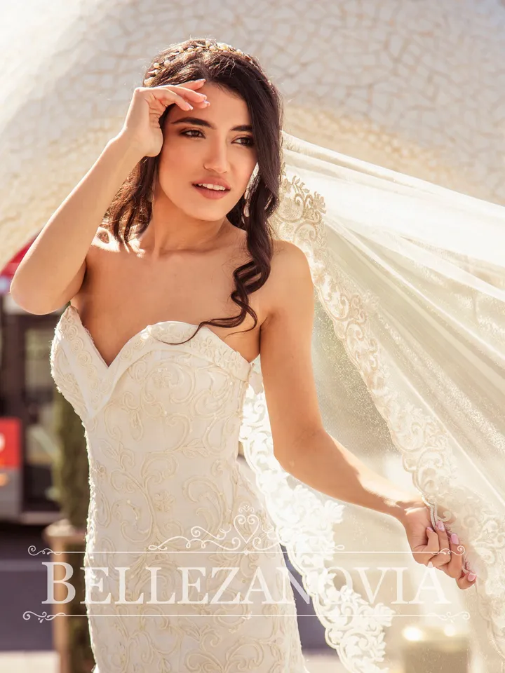 Cathedral veil, Veil wedding cathedral bridal lace, Soft Tulle Lace Wedding Veil, Ivory Veil, Luxury veil, Long Lace wedding veil 9085