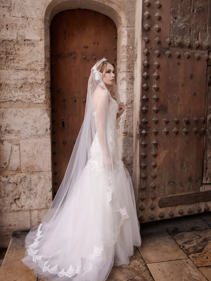 Chantilly wedding veil, Lace Wedding Veil, Eyelash Lace Veil, Elegant Rose Lace Veil, Soft Veil, Wedding veils, Veil floor length - 900156.1
