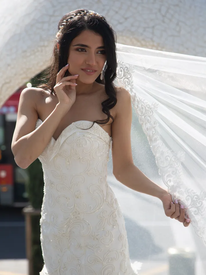 Cathedral veil, Veil wedding cathedral bridal lace, Soft Tulle Lace Wedding Veil, Ivory Veil, Luxury veil, Long Lace wedding veil 9085