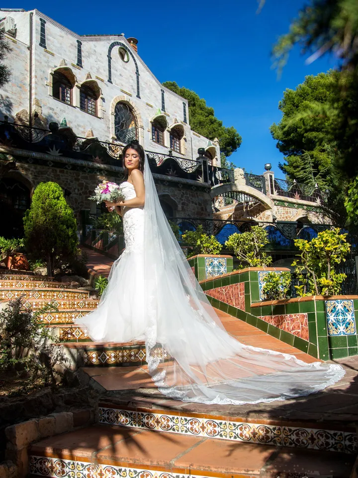 Wedding veil Lace trim bridal veil Modern Cathedral Veil Ivory Wedding Veil Single Tier Veil Simple Veil Single layer Veil Mantilla - 9007.1