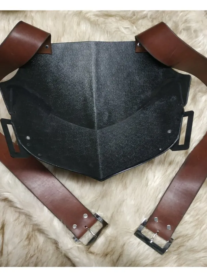 Dragon Age - guard costume - captain of the guard - Dragon Age cosplay - Dragon