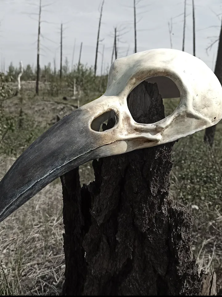 Raven mask for halloween costume. Cosplay mask men. Bird skull face mask.