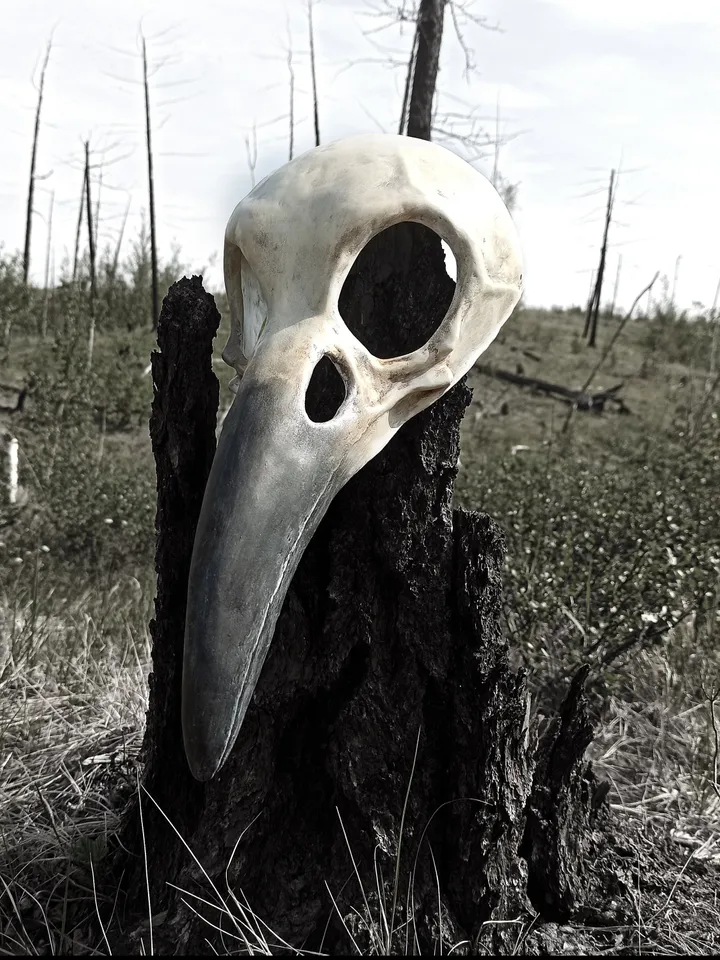 Raven mask for halloween costume. Cosplay mask men. Bird skull face mask.