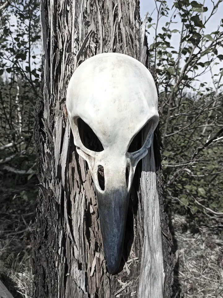 Raven mask for halloween costume. Cosplay mask men. Bird skull face mask.