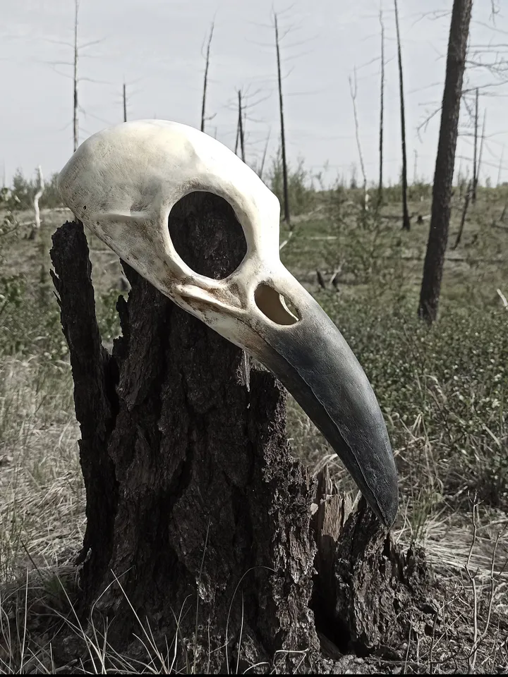 Raven mask for halloween costume. Cosplay mask men. Bird skull face mask.