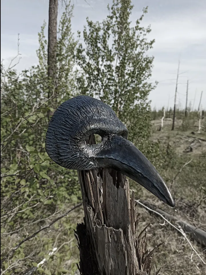 Cosplay masks for halloween costume men. Bird skull face mask. Crow mask. Black raven mask.