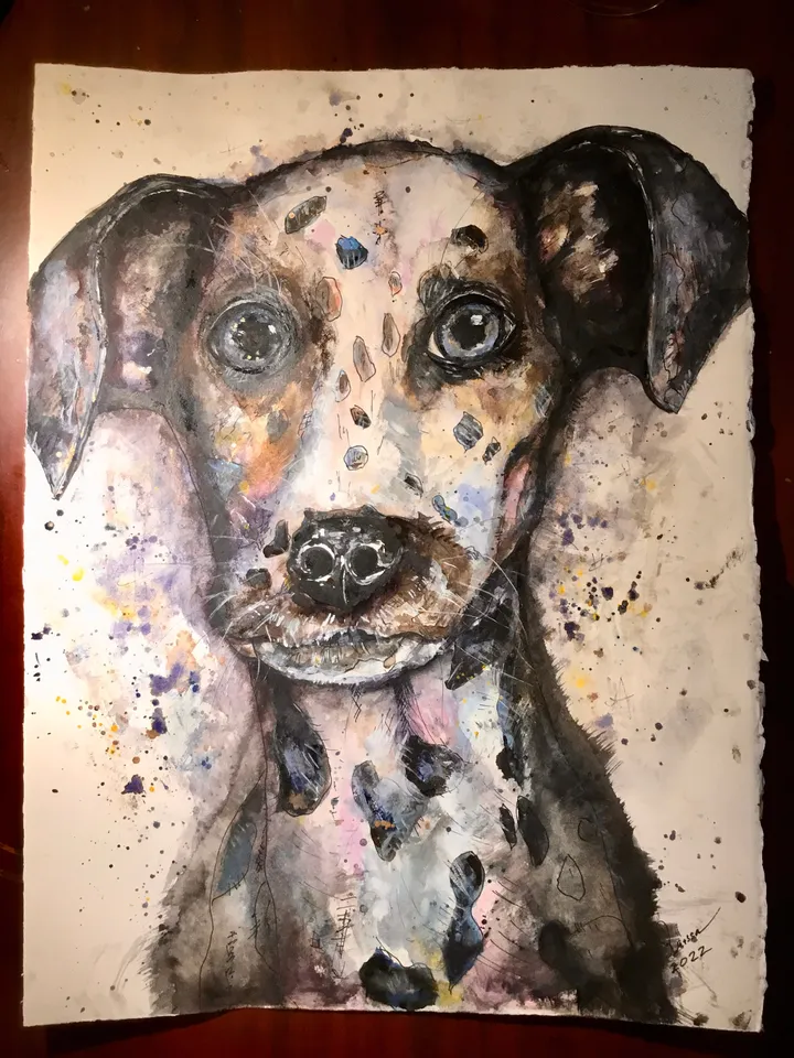 Dalmatian dog original watercolour painting,funny animals painting,dog wall decoration.watercolour wall art,kids room decoration.