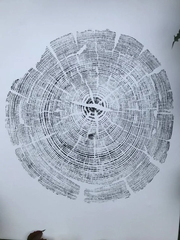 Printed by hand imprint with oil paints, real Tree Ring stamp, Nature Tree, Wood art, Tree ring print on canvas, Tree wall art, gift for she