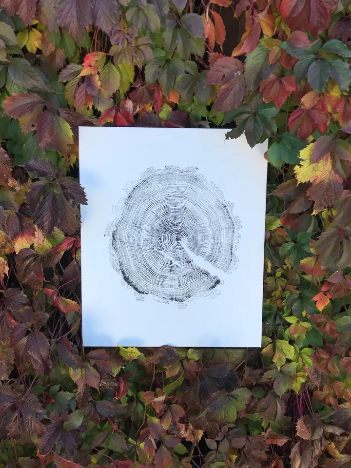 Real imprint Printed by hand imprint with paints, Acrylic paint real Tree Ring stamp Nature Tree Wood art Tree ring print on canvas wall art