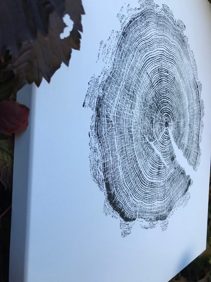 Real imprint Printed by hand imprint with paints, Acrylic paint real Tree Ring stamp Nature Tree Wood art Tree ring print on canvas wall art