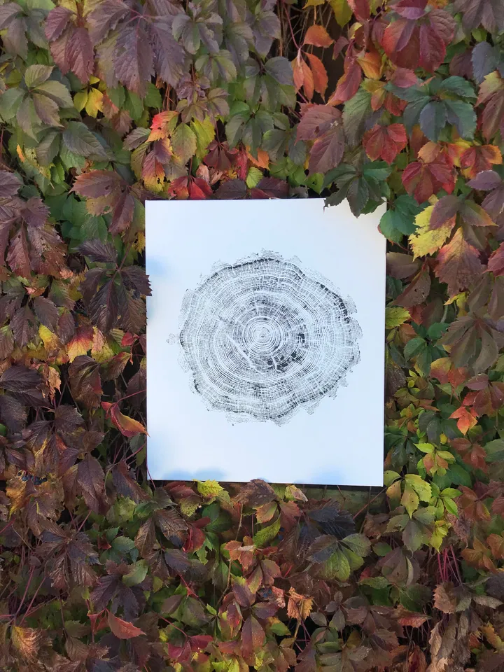 Real Wood art Tree ring imprint on canvas wall Printed by hand with paints, Acrylic paint Tree Ring stamp Nature Boho style minimalism