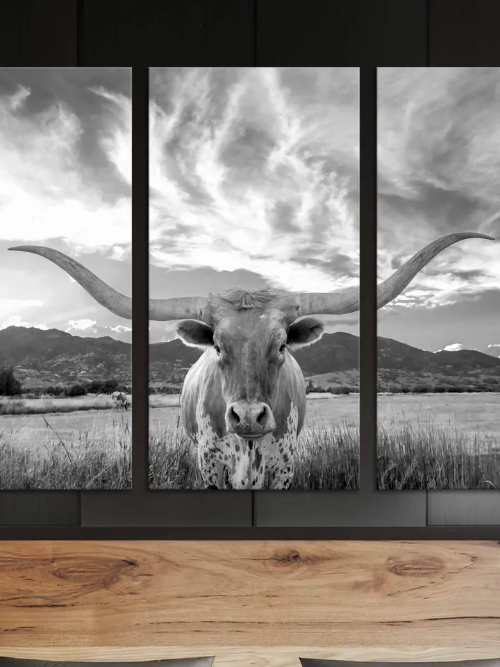 Floating Frame Cow Canvas, Animal Print, Scottish Highland Cattle, Cow art print, Animal Artwork, Highland Bull, Animal Canvas Print,WallArt