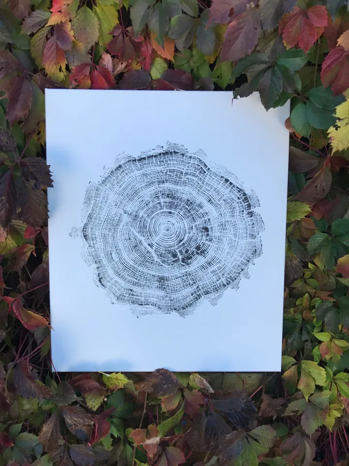 Real Wood art Tree ring imprint on canvas wall Printed by hand with paints, Acrylic paint Tree Ring stamp Nature Boho style minimalism