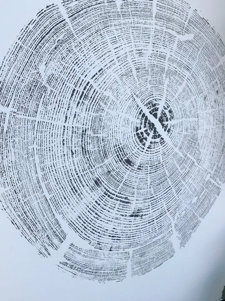 Floating gold frame Real wood imprint with oil paints, Floating black frame Tree Ring stamp, Tree ring stamp print on canvas, 2 stamps art