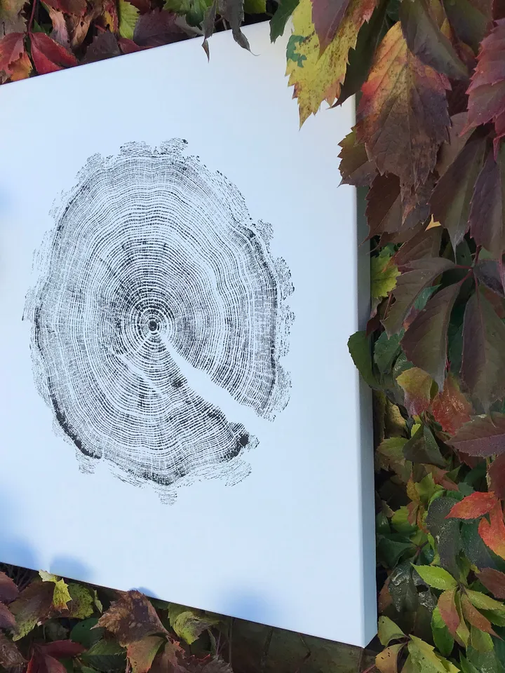 Real imprint Printed by hand imprint with paints, Acrylic paint real Tree Ring stamp Nature Tree Wood art Tree ring print on canvas wall art