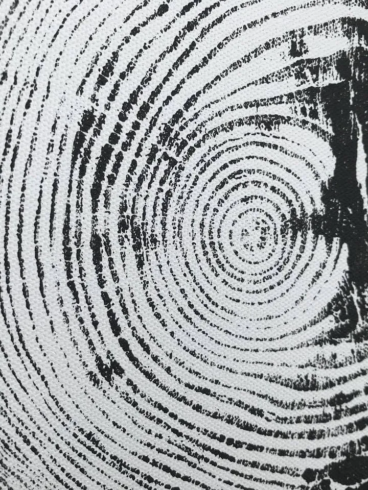 Printed by hand Real wood imprint with Acrylic paints, real Woodcut art, Tree stump print, Wood art, Tree ring print on canvas