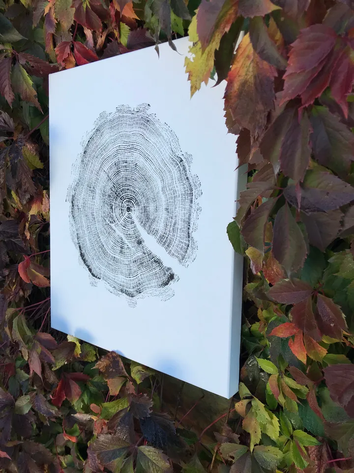 Real imprint Printed by hand imprint with paints, Acrylic paint real Tree Ring stamp Nature Tree Wood art Tree ring print on canvas wall art