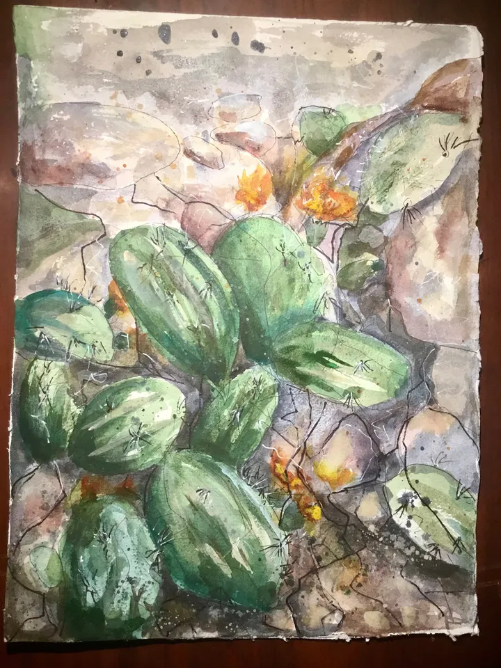 Cactus flower,original watercolour mix media painting on watercolour paper,original and prints available.