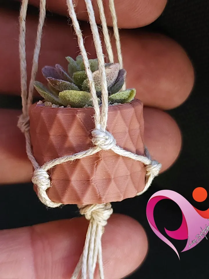 Cute Succulent Magnet Boho Plant Decor for Fridge Locker Perfect Gift for Plant Lovers