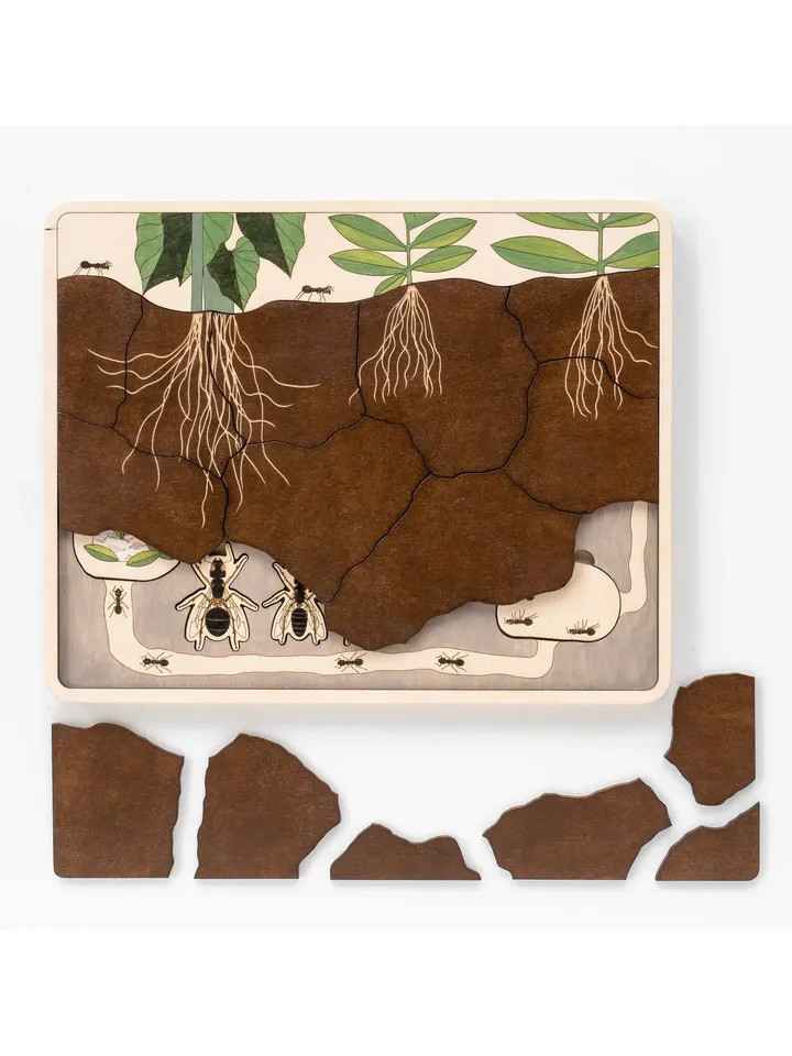 Wooden puzzle Anthill Wooden ant Montessori Wooden game Insects