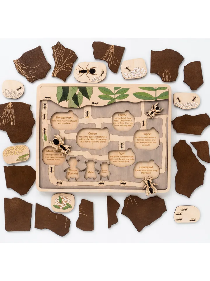 Wooden puzzle Anthill Wooden ant Montessori Wooden game Insects