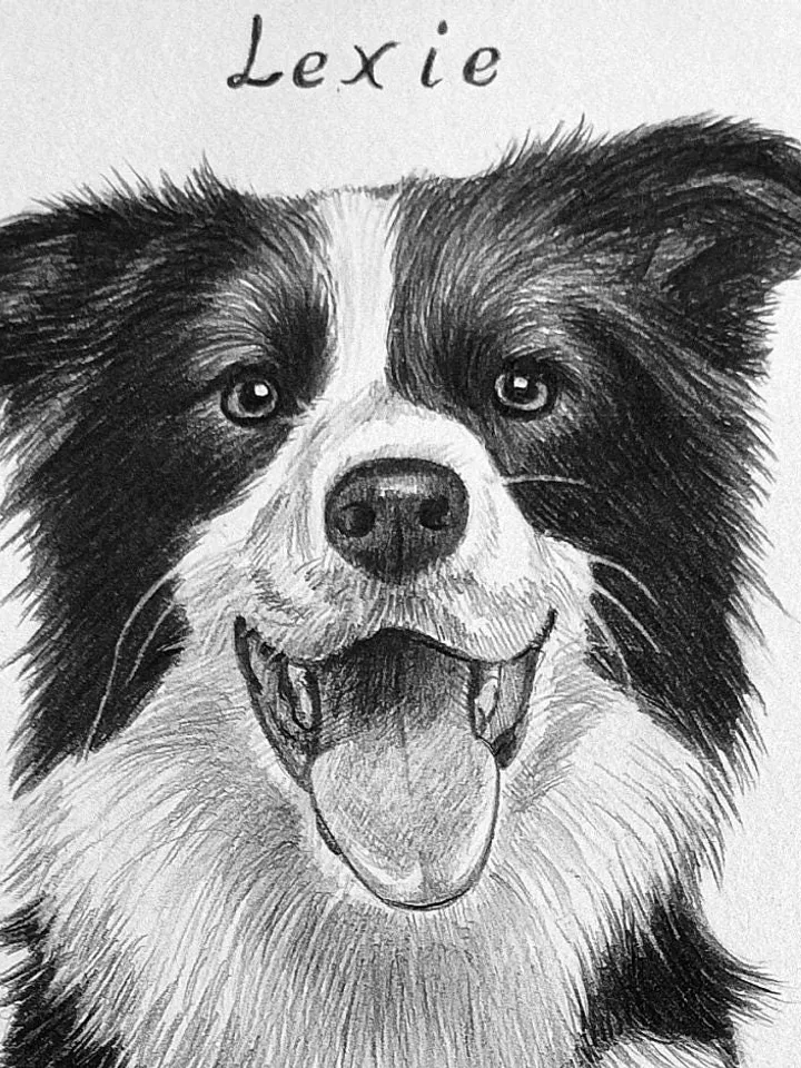 Custom graphite pencils pet portrait | Custom Hand painted Dog portrait | Custom Dog portrait | Hand drawn pet portrait