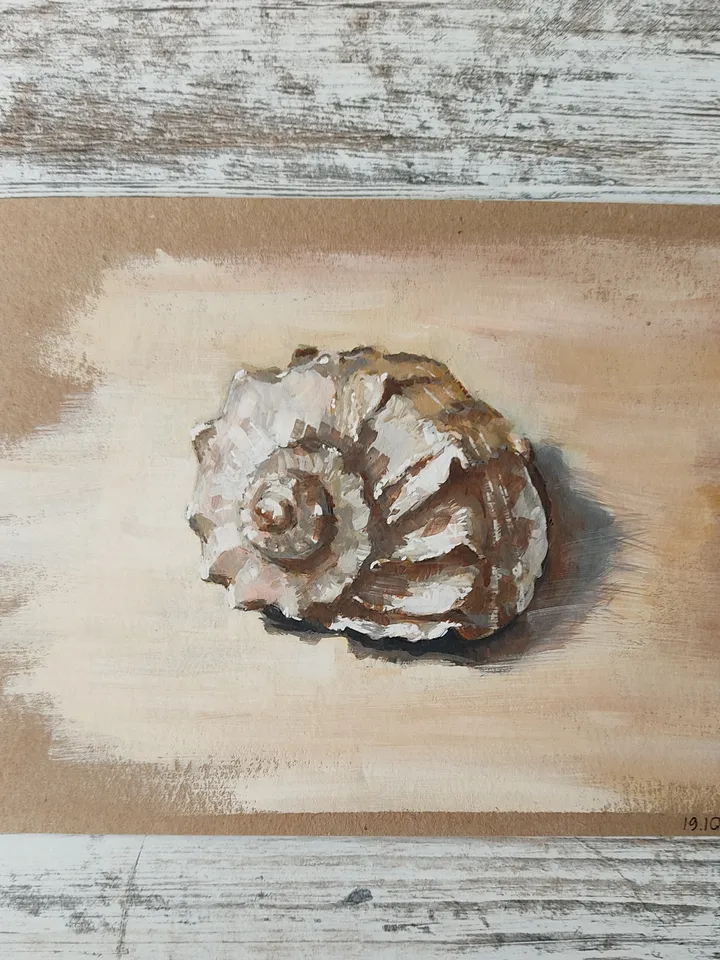 Seashell. Original gouache painting.