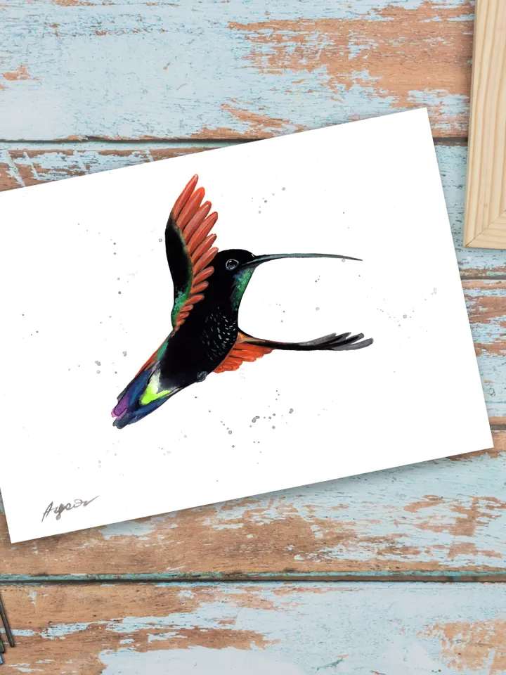 Hummingbird original watercolor painting , bird on the branch, colibri portrait room decor, 8x11 in wall art for bird lovers illustration by Anne Gorywine