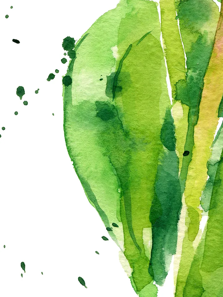 Watercolor picture with tulips, Art print from the original painting, Watercolor digital file, Clipart PNG with tulips
