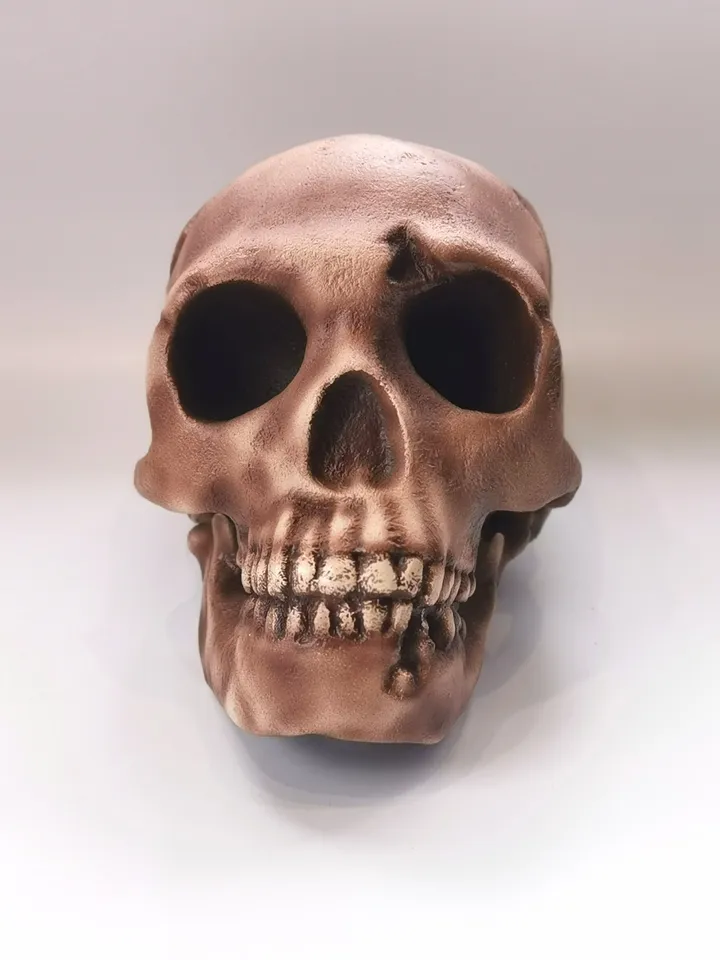 Homo Neanderthal Skull Replica, Prehistoric Fossil Collection, Realistic Hominid Skull