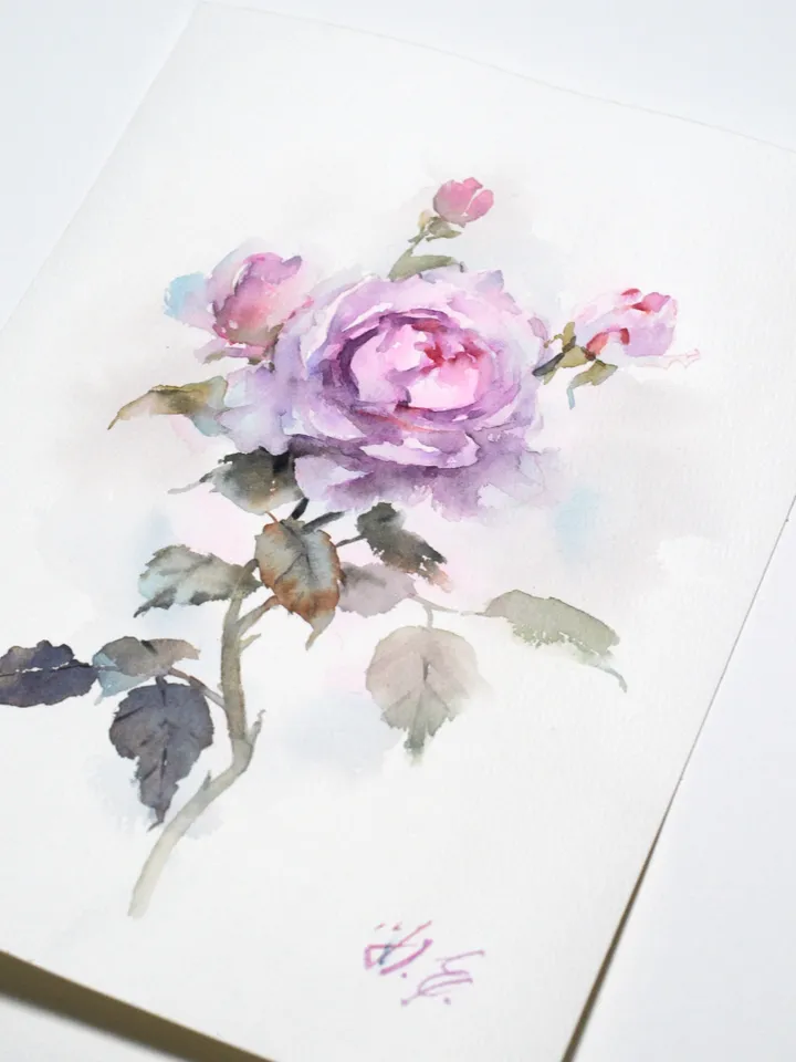 Rose in watercolor / Original art of flower