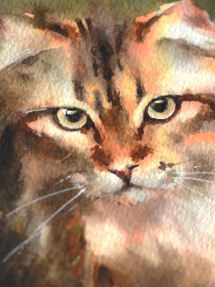 Red cat Original watercolor painting by Yulia Evsyukova