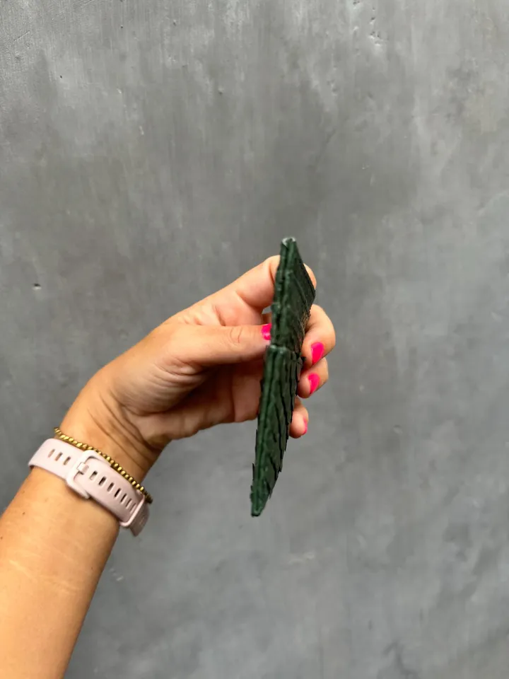 Fast shipping Genuine python skin creditcards holder | business cads holder dark green colour unisex wallet small | gift idea exotic python