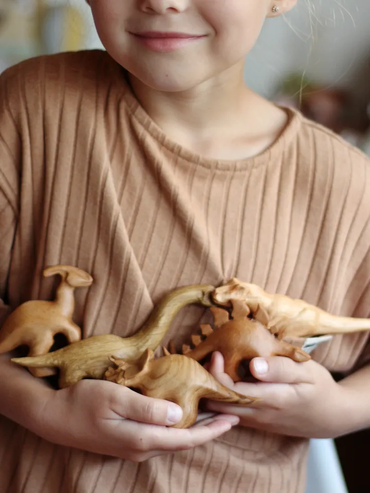 Wooden dinosaurss play set