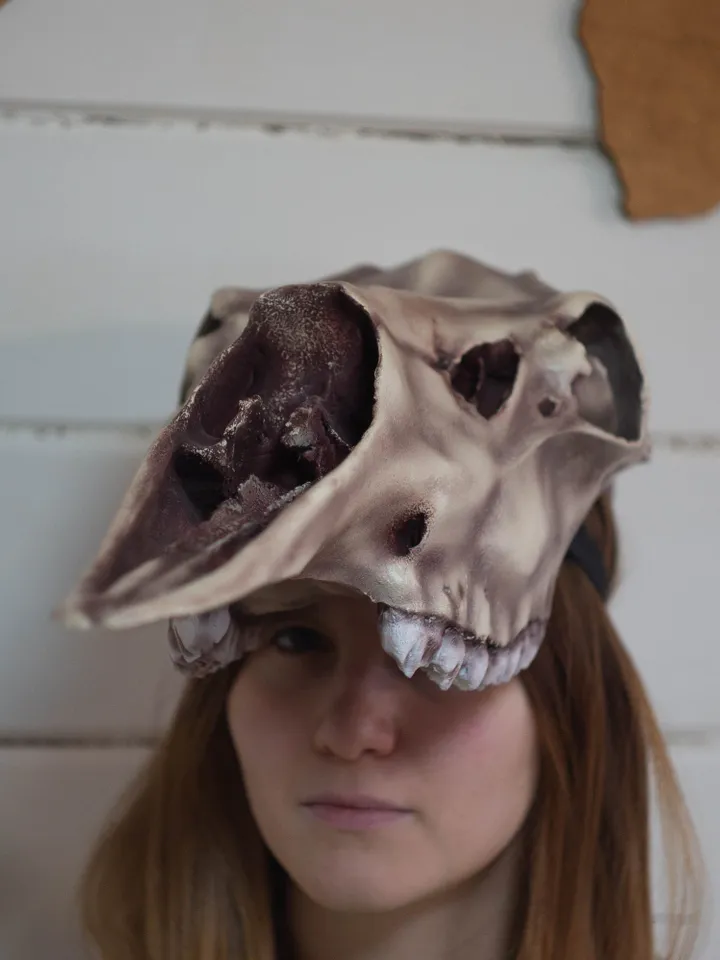 Moose Skull mask | Elk Skull | tribal headpiece | Headpiece skull | ritual mask | pagan headdress | Realistic Skull Mask |real animal skull