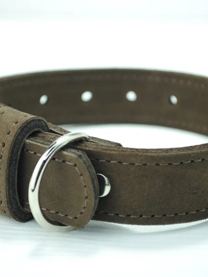 collar, dog accessories, dog collars, dog collar personalized, small dog collar, personalized collar, engraved dog collar, female dog collar