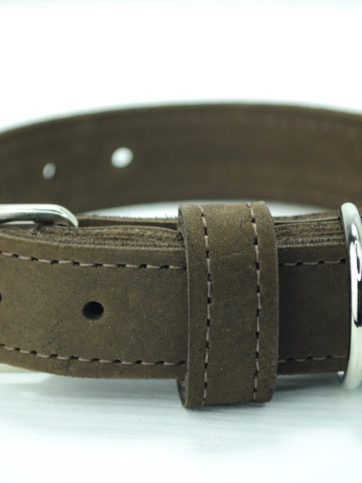collar, dog accessories, dog collars, dog collar personalized, small dog collar, personalized collar, engraved dog collar, female dog collar