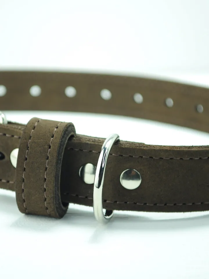 collar, dog accessories, dog collars, dog collar personalized, small dog collar, personalized collar, engraved dog collar, female dog collar