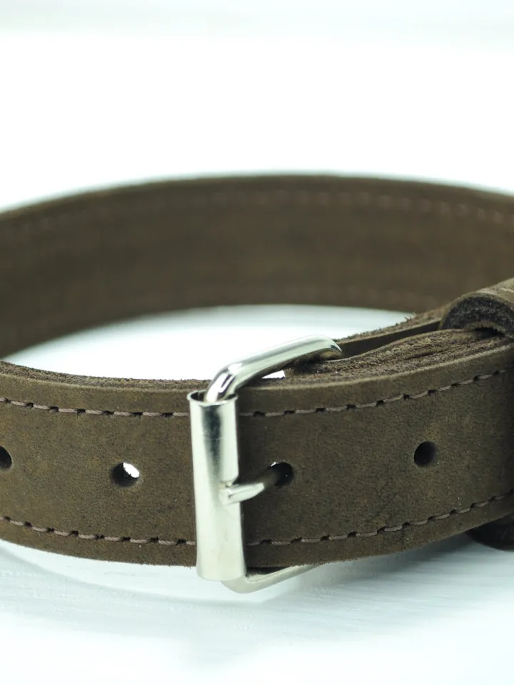 collar, dog accessories, dog collars, dog collar personalized, small dog collar, personalized collar, engraved dog collar, female dog collar