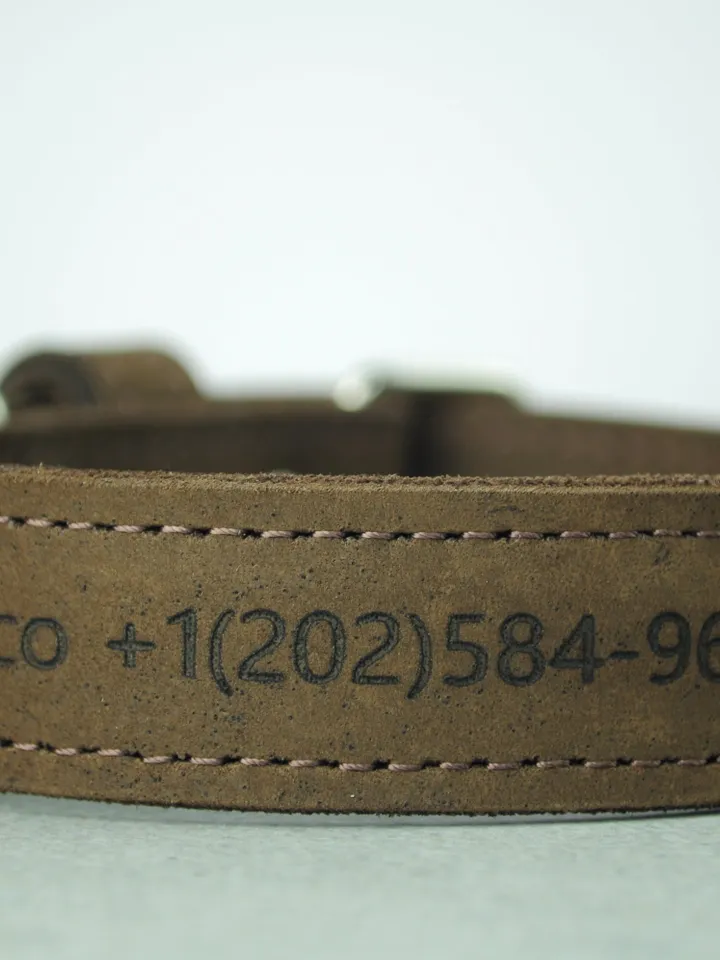 dog collars for boys, thick dog collar, male dog collar, female dog collar, personalized leather dog collar, breakaway collar, wide collar