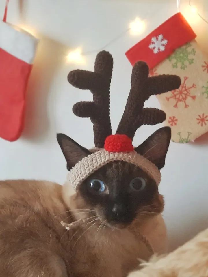 Crochet Pattern Christmas deer antlers hat for cat, Christmas Hat for Cat, PDF instructions for cat Christmas costume hat with chin straps
