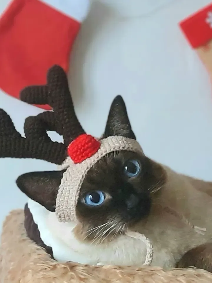 Crochet Pattern Christmas deer antlers hat for cat, Christmas Hat for Cat, PDF instructions for cat Christmas costume hat with chin straps