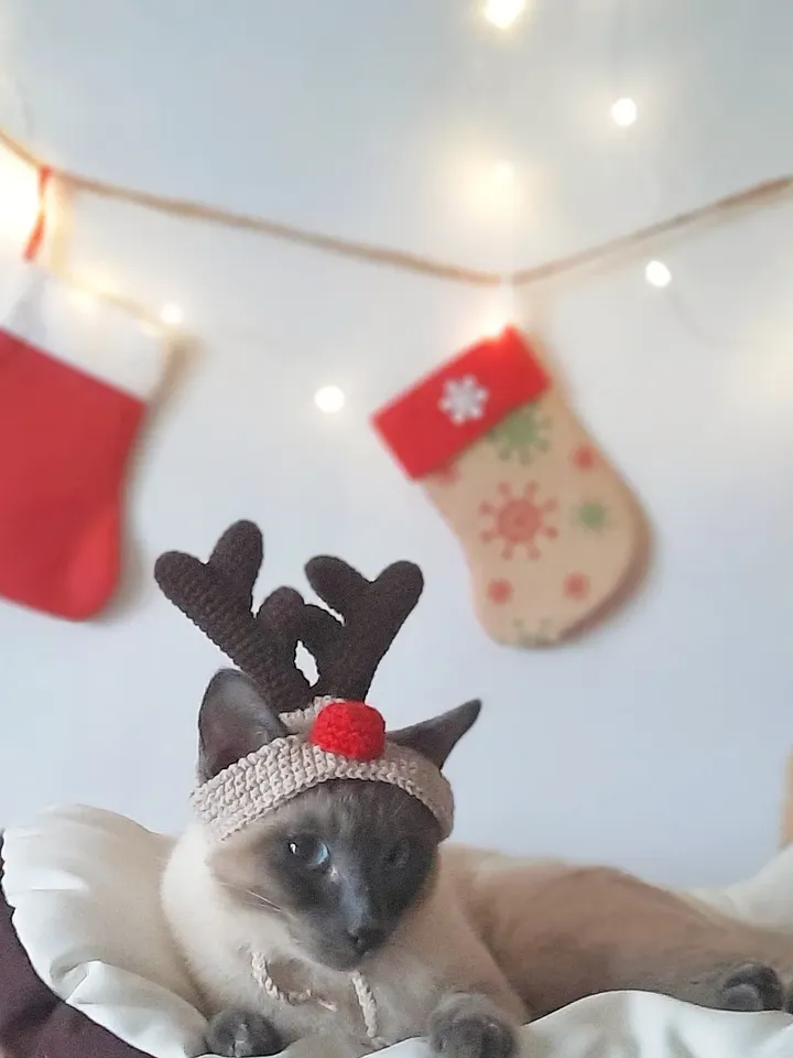 Crochet Pattern Christmas deer antlers hat for cat, Christmas Hat for Cat, PDF instructions for cat Christmas costume hat with chin straps