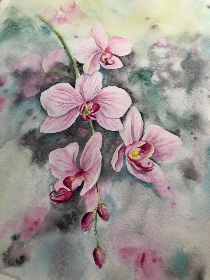 Flowers Original Painting Floral Watercolor Art Orchid Wall Art Blooming Painting