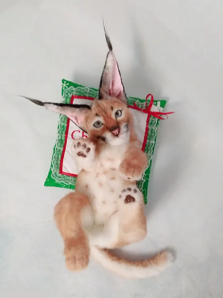 Cat Art Dolls - Lifelike Caracal Cub | Realistic Stuffed Animals