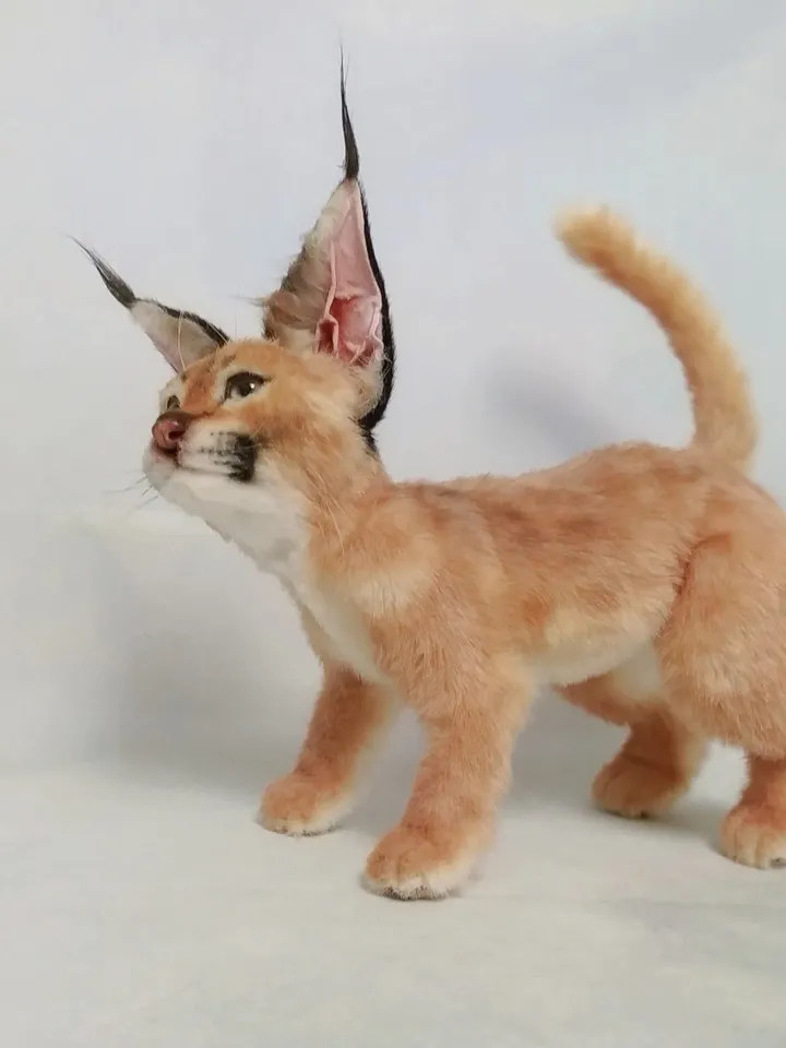 Cat Art Dolls - Lifelike Caracal Cub | Realistic Stuffed Animals